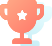 奖项